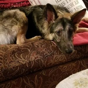 Meet your Posher, Christine